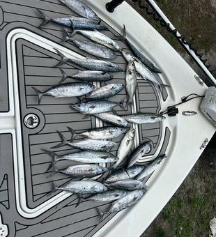 Inshore Fishing today