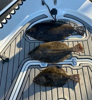 All about Flounder Day - Oak Island, NC.