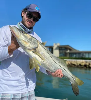 Sarasota Fl Fishing Snook