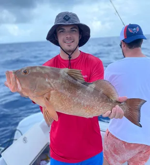 Grouper Fishing! Florida fishing charters 2023