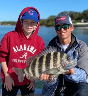 Sheephead Madness - A fun, hard fighting local fis