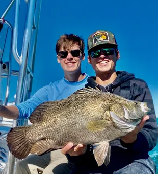 Tripletail is one of the tastiest fish!