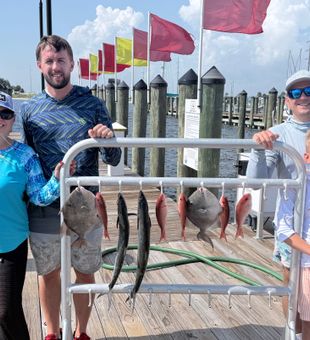 Grey Triggerfish and mixed species from Panama City waters!