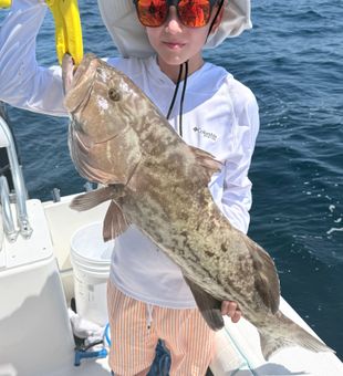 Panama City gag grouper ready for the cooler!