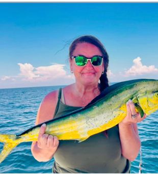 Beautiful mahi mahi caught in Panama City FL!
