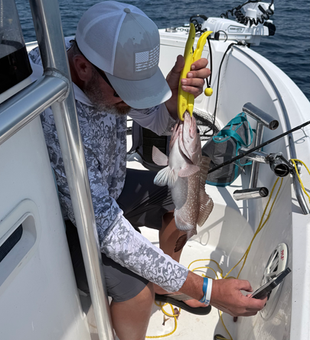 South Florida red grouper brought to the boat!