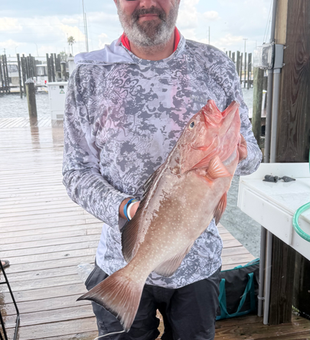 Beautiful South Florida red grouper from the docks!
