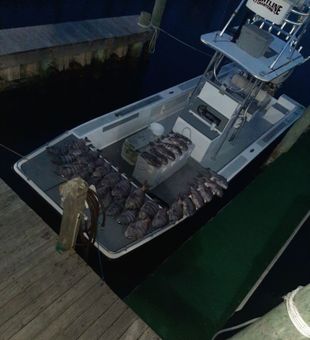Hatteras: where every catch is an adventure