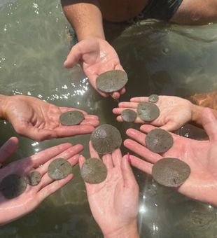 Epic catches in Hatteras waters