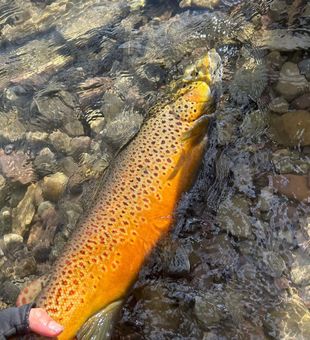 Big fish, big smiles in Ontario