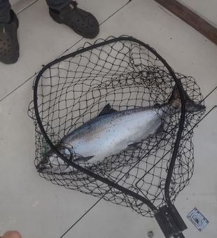Your next favorite fishing story starts today.