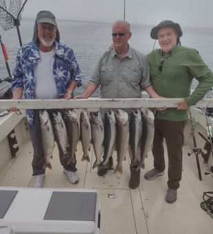 Powered by fish, fueled by fun.