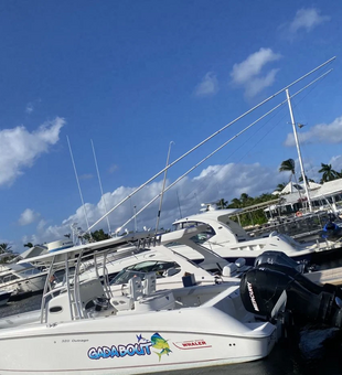 Your Catch Awaits in West Bay