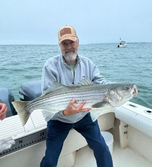 Maine coast lines tight all day