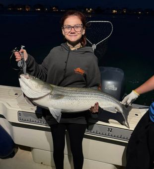 Tidal bite heating up in Wells Harbor