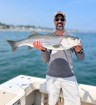 Beautiful striped bass from Wells Harbor ME waters!