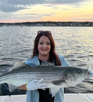 Striped bass caught off Wells Harbor