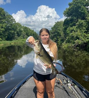 Catch, release, repeat — bass style.