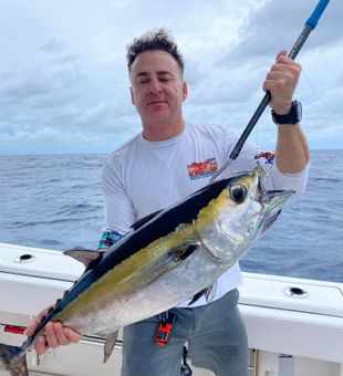 Tampa Bay Fishing  Blackfin Tuna Caught!