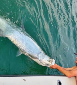 A day full of possibilities in St. Petersburg Florida fishing.