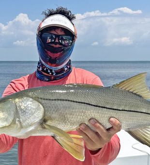 Another reason to book a St. Pete fishing trip.