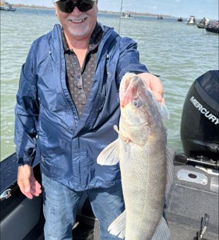 Nice Detroit walleye making the day complete!