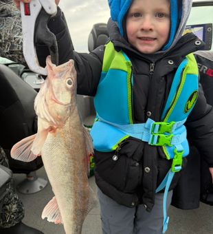 Nice Detroit walleye on the boat!