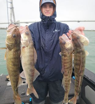 Detroit walleye fishing delivers impressive results!