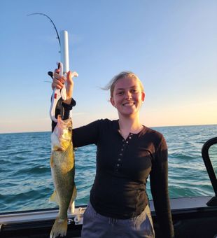 Walleye catch for the day! - New Baltimore, MI.