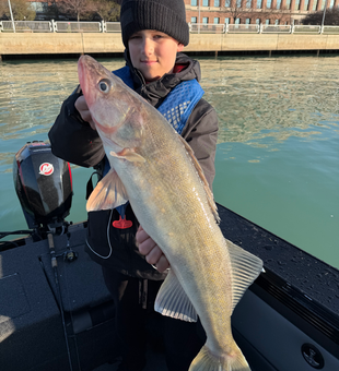 Trophy walleye from Lake St. Clair!