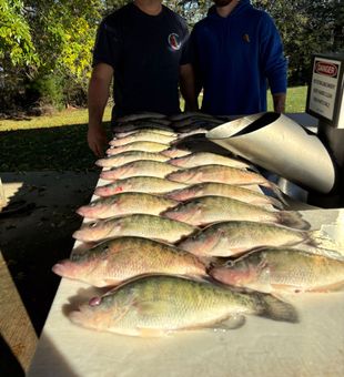 Fun morning with these guys chasing these big Mississippi crappie