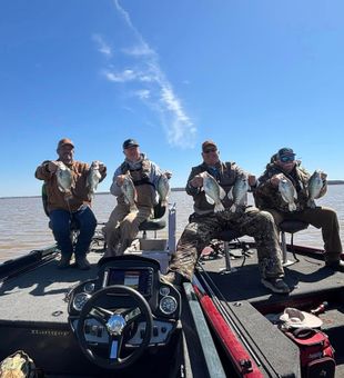 Sardis slabs hitting jigs hard