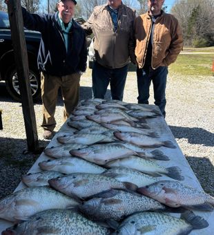 Crappie bite strong at Enid Lake