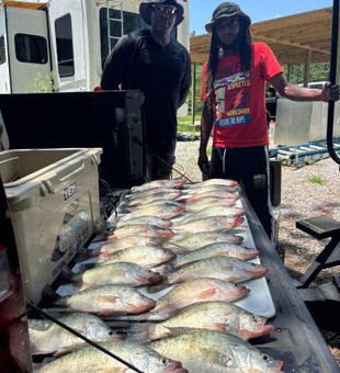 Reel action on the Mississippi River