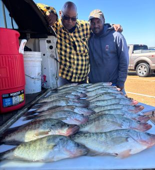 Hooked a trophy fish on Mississippi’s calm lakes.