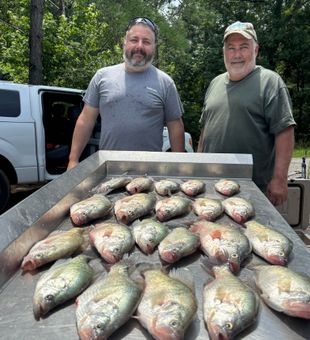 Crappie fishing fun at Sardis Lake