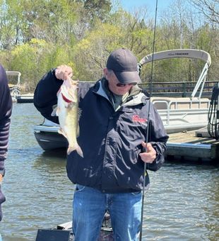 Fresh Largemouth Bass in Summerton, SC on a local charter day.