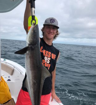 Strong cobia catch offshore on a cloudy day!