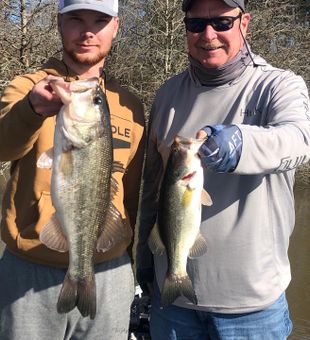 Solid largemouth bass catches on a great day!