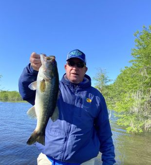 Big catch in Summerton, SC, Largemouth Bass on a local freshwater guide day.