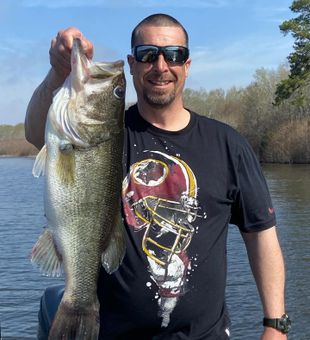 Massive largemouth!