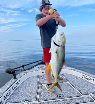 Discover Destin's Fishing Paradise, Crevalle Jack