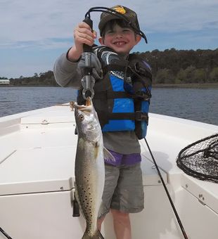 Alabama's Trout Bounty