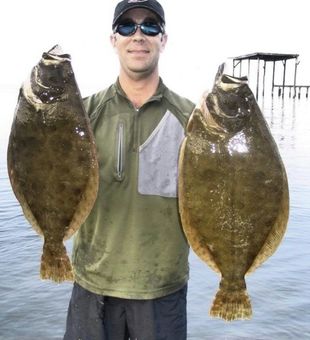 Alabama's prized Flounder capture