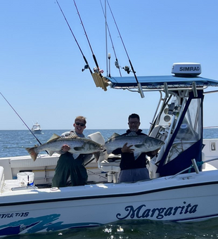 Striped Bass Charter Fishing In New York! 
