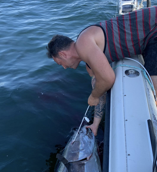 Anglers Delight In New York