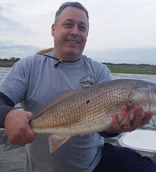 Bait check near Topsail Sound