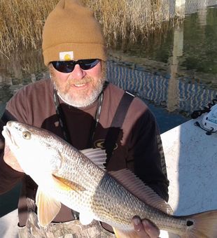 Catch and release in action