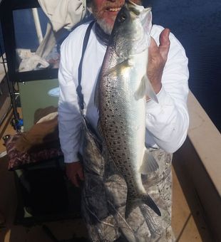 Calm morning, hot trout bite