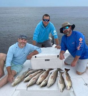 Alabama Fishing Charter, Redfish Galore